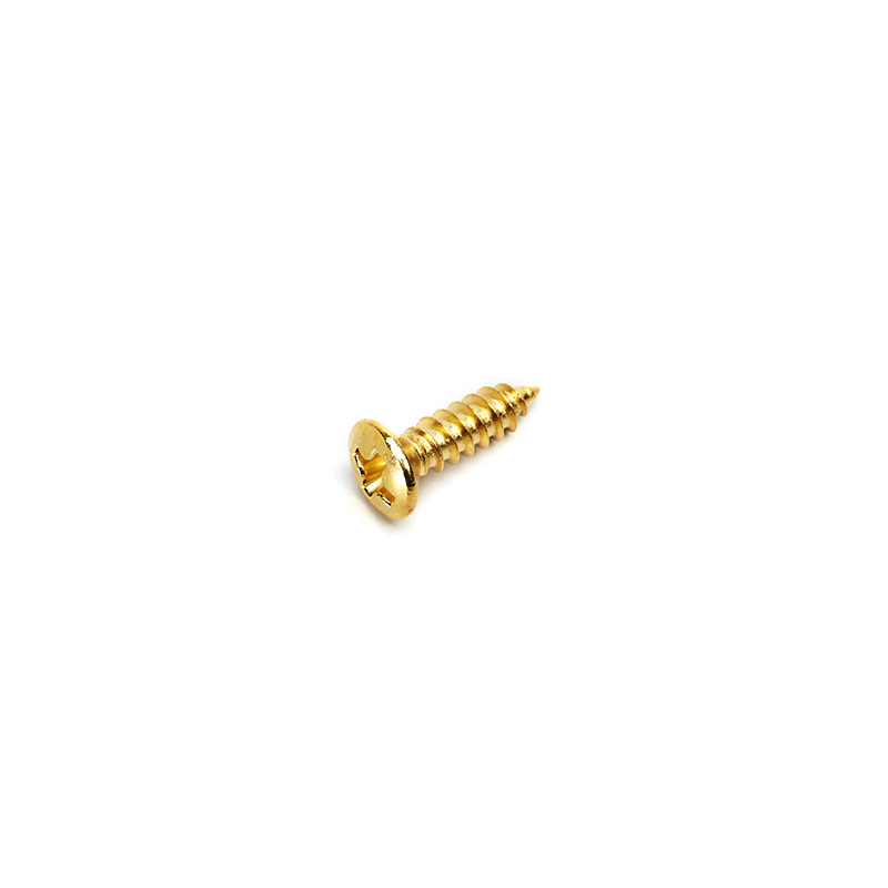 VIS PLAQUE DE PROTECTION TYPE FENDER® DORÉ (100pcs)