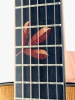 Guitar Bariole Toasted Spruce Top GD + Case DOWINA – Image 6