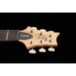 PRS SE Custom 24 Slate Blue – Image 5