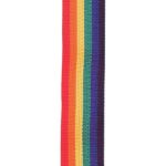 D'Addario Sangle de guitare en polypropylène D'Addario, coloris arc-en-ciel – Image 2
