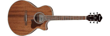 IBANEZ Acoustic-Electric Guitar AE natural