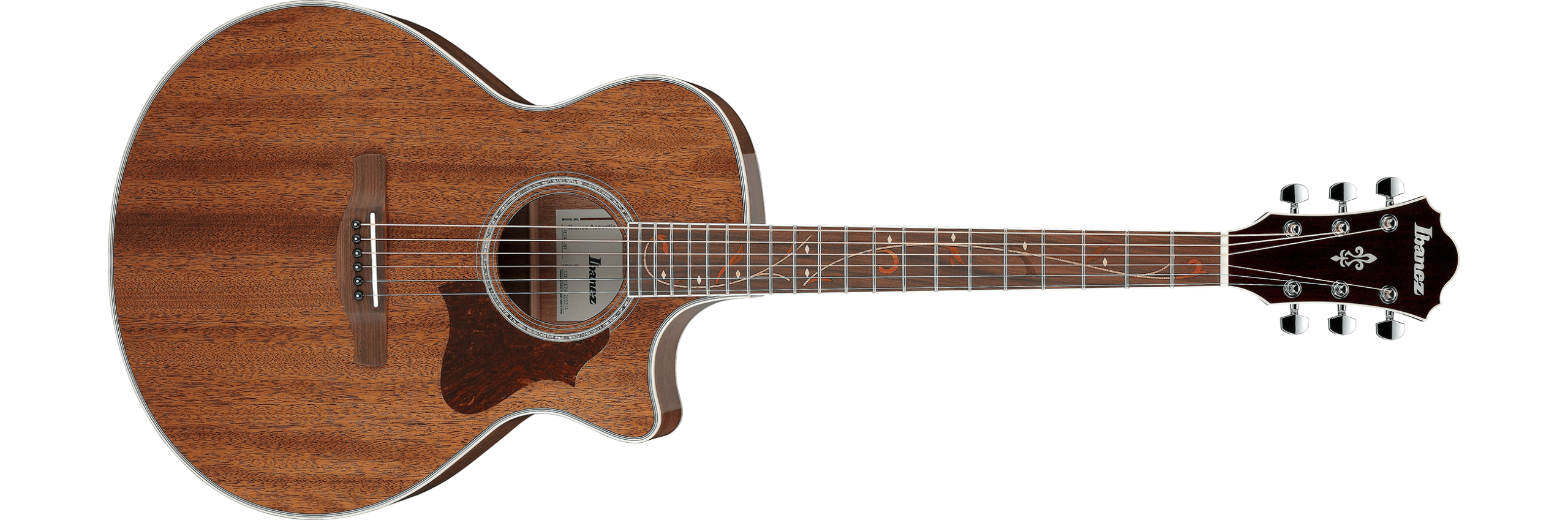 IBANEZ Acoustic-Electric Guitar AE natural – Image 1
