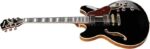 IBANEZ Hollow Body Guitar Artcore Expressionist AS black – Image 4