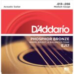 D'Addario Cordes en Bronze Phosphoreux pour Guitare Acoustique D'Addario EJ17 Medium 13-56 1-Jeux