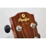 SGA100CEQ Guitare Electro-Acoustique Solid Fine Wood Auditorium Cut Electro Prodipe Guitars JM Forest JMFSGA100CEQ – Image 4