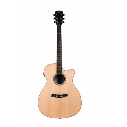 SGA100CEQ Guitare Electro-Acoustique Solid Fine Wood Auditorium Cut Electro Prodipe Guitars JM Forest JMFSGA100CEQ